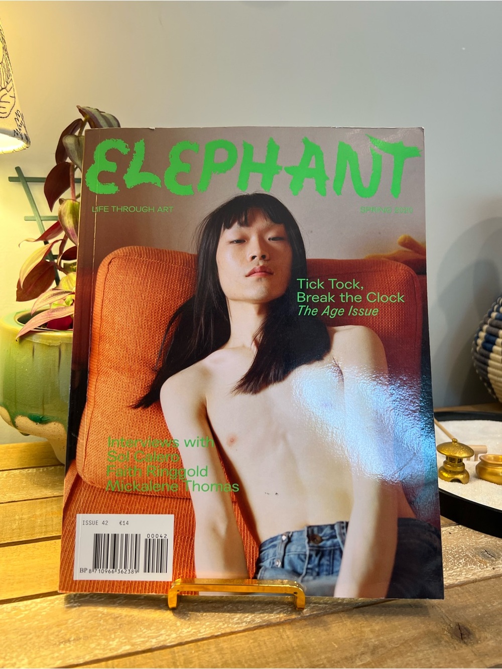 Elephant Magazine Issue 42